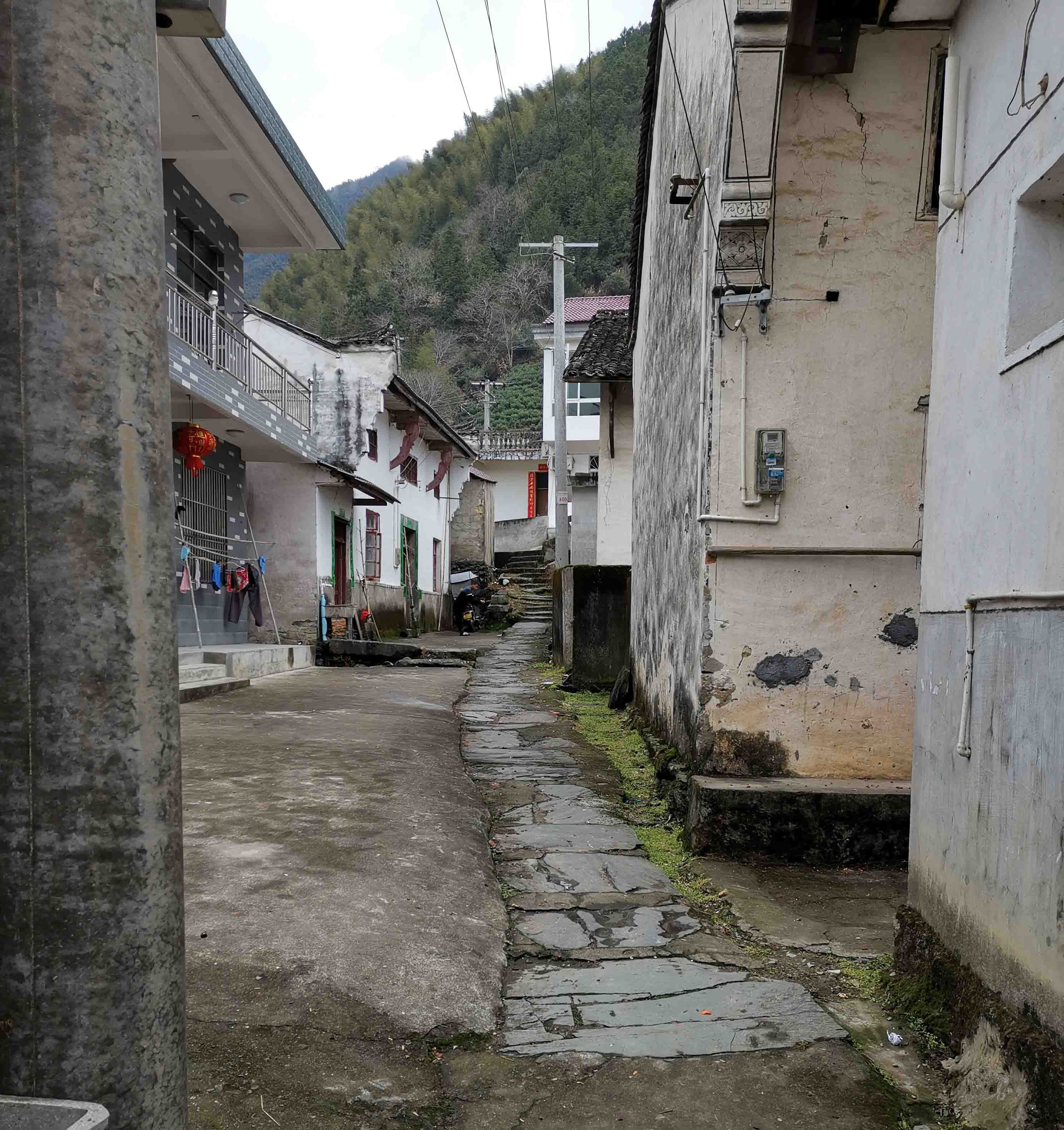 上背屋大路