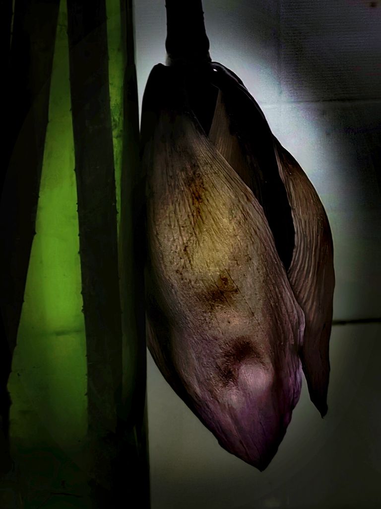 20260624061026front2_0_198517_FtoJl3tnDyzT9RpzO2D_fQa_6uFp.jpg