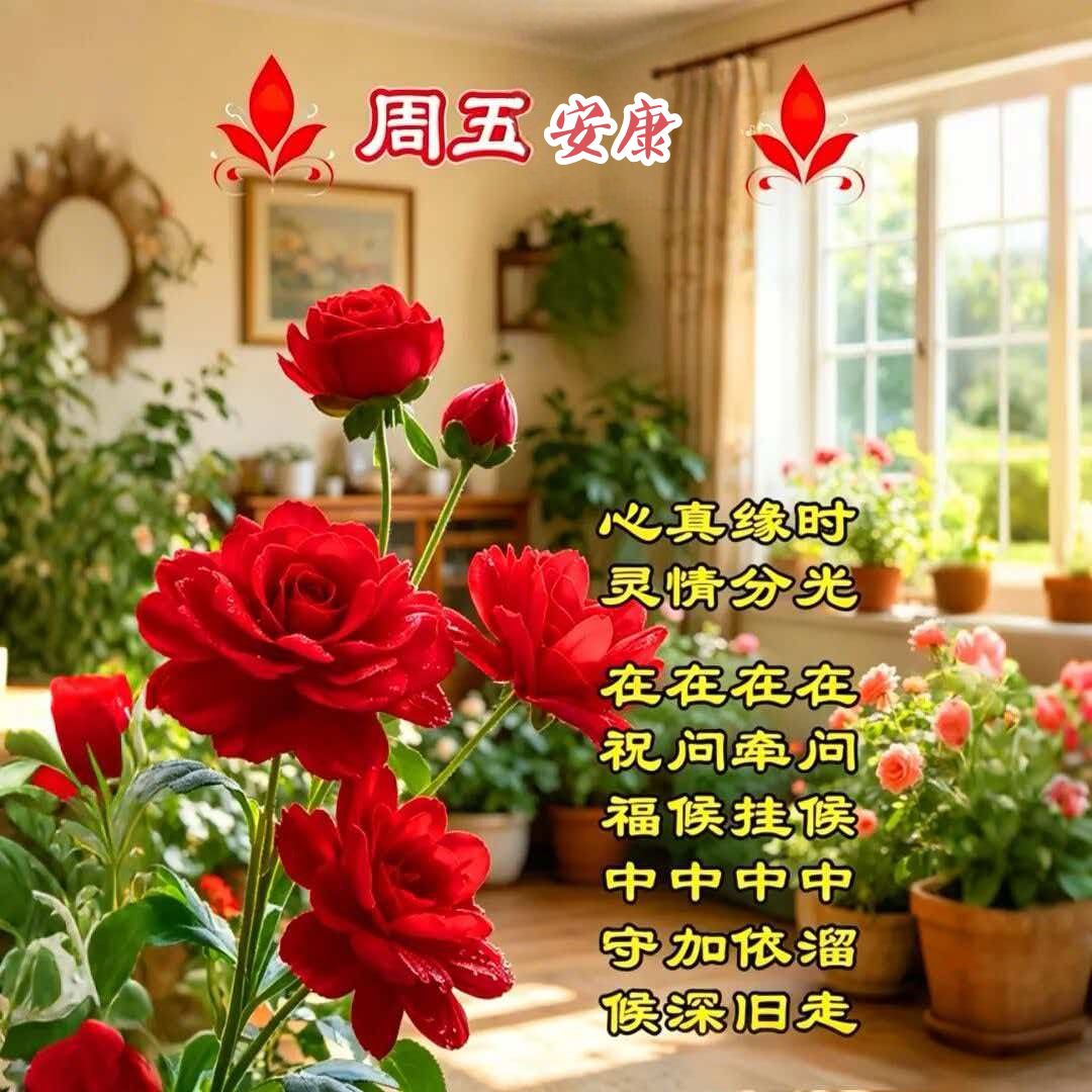 20260626114836front2_0_284882_Fm8jRoVzxYgmjjlxi084AEpDjbPN.jpg
