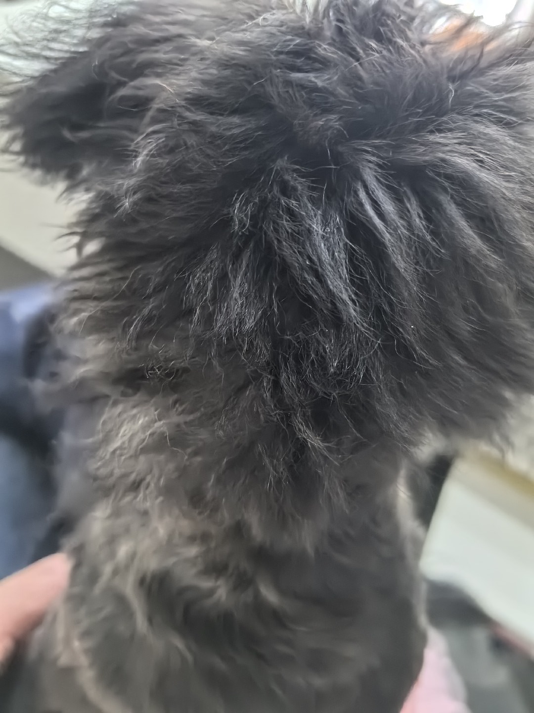 20260628170722front4_0_85776_Fr1rhHFur-qrIsUZYQCrSkeqVjyi.jpg