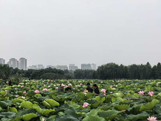 微信图片_2026-06-30_105034_305.png
