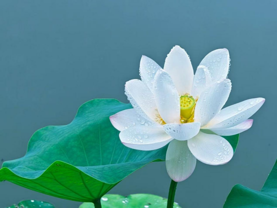 微信图片_2026-06-30_105046_281.png
