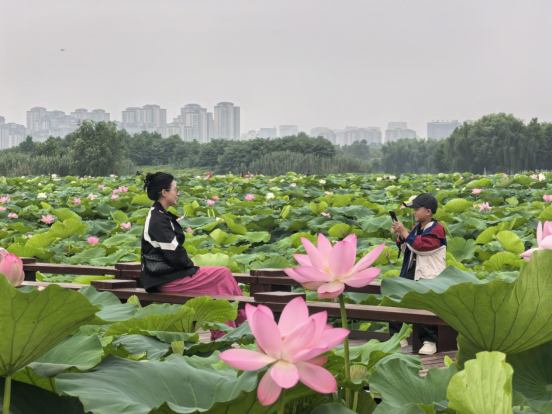 微信图片_2026-06-30_105057_857.png