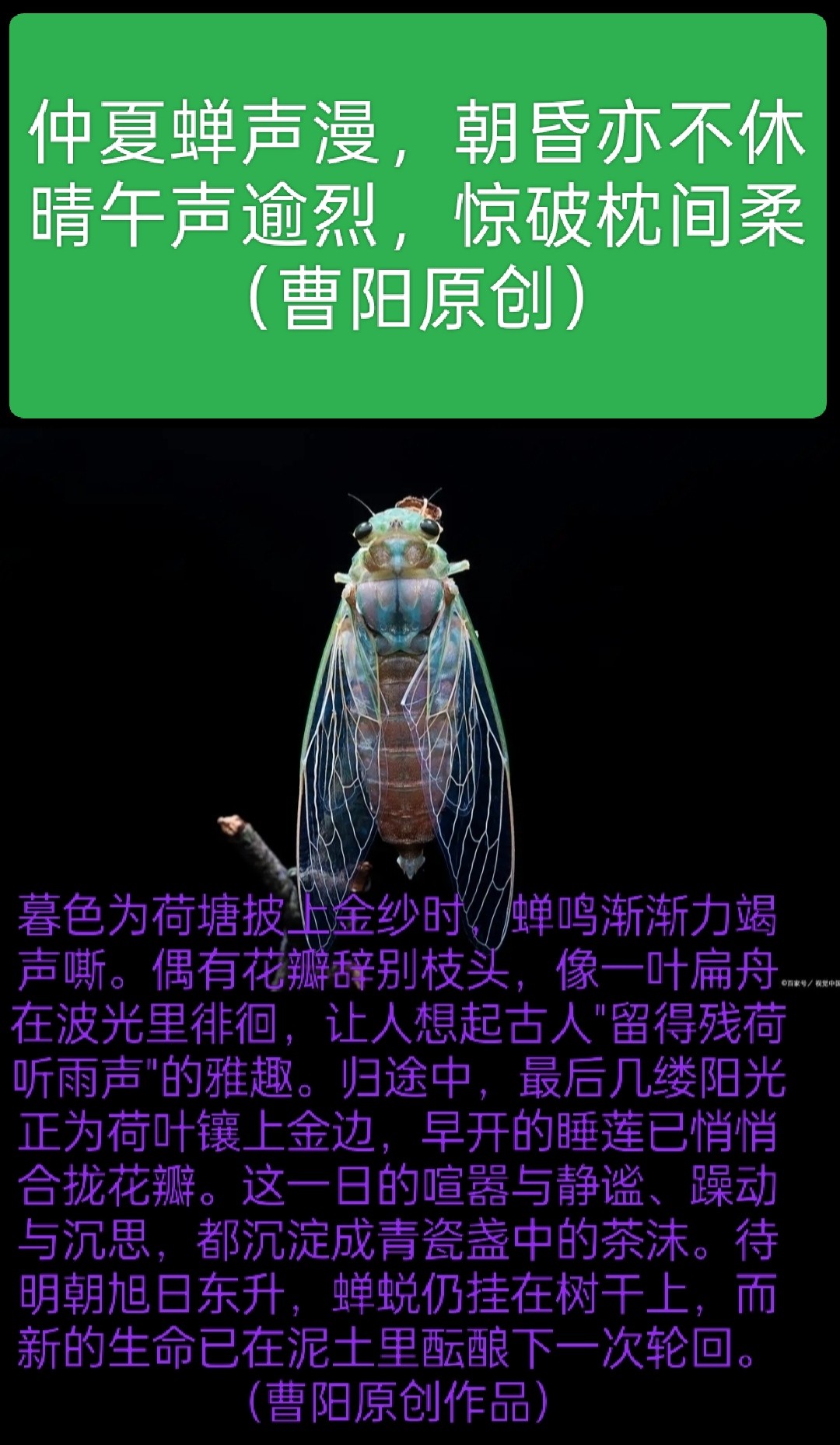 20260701084420front2_0_294866_FnuyAghOamhvFEVijgGpPiFwDGBf.jpg