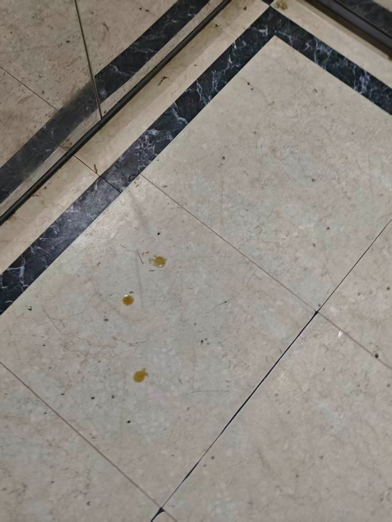 178305018138714245.jpg