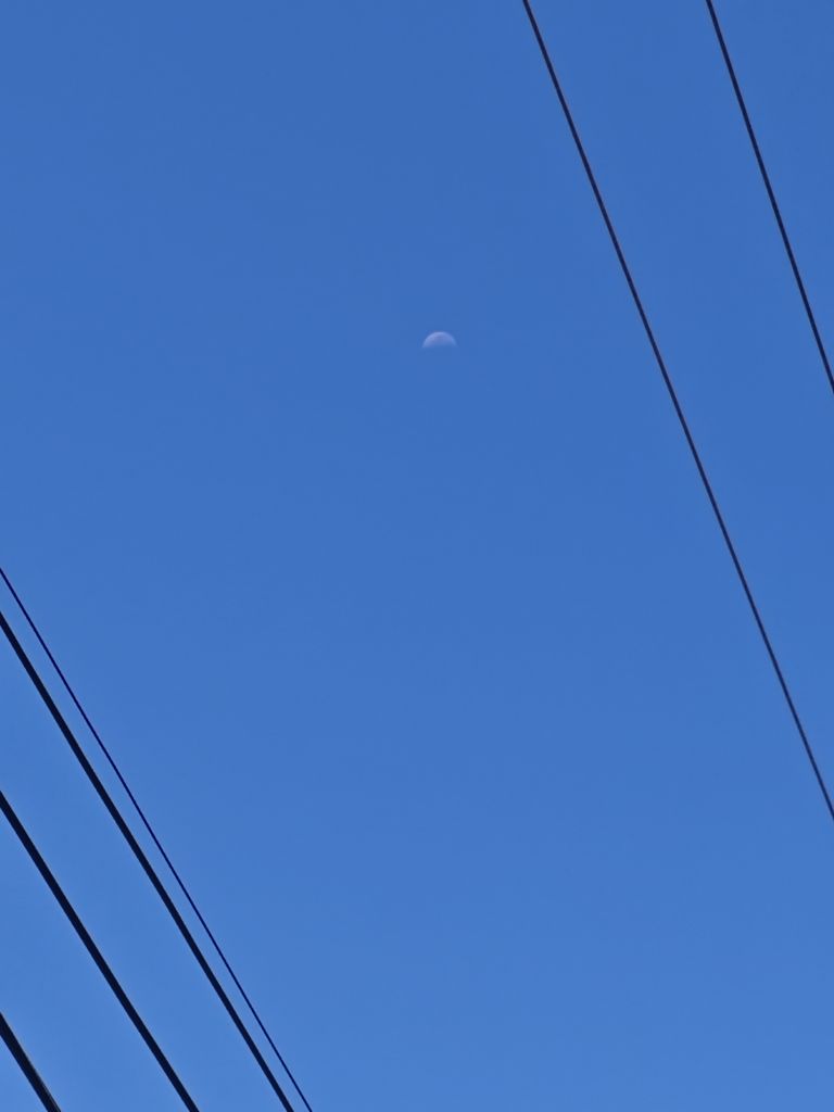 20260708093016front2_0_400693_FjyiyeG_9zFgcdFe2gmFy-_p3XNZ.jpg
