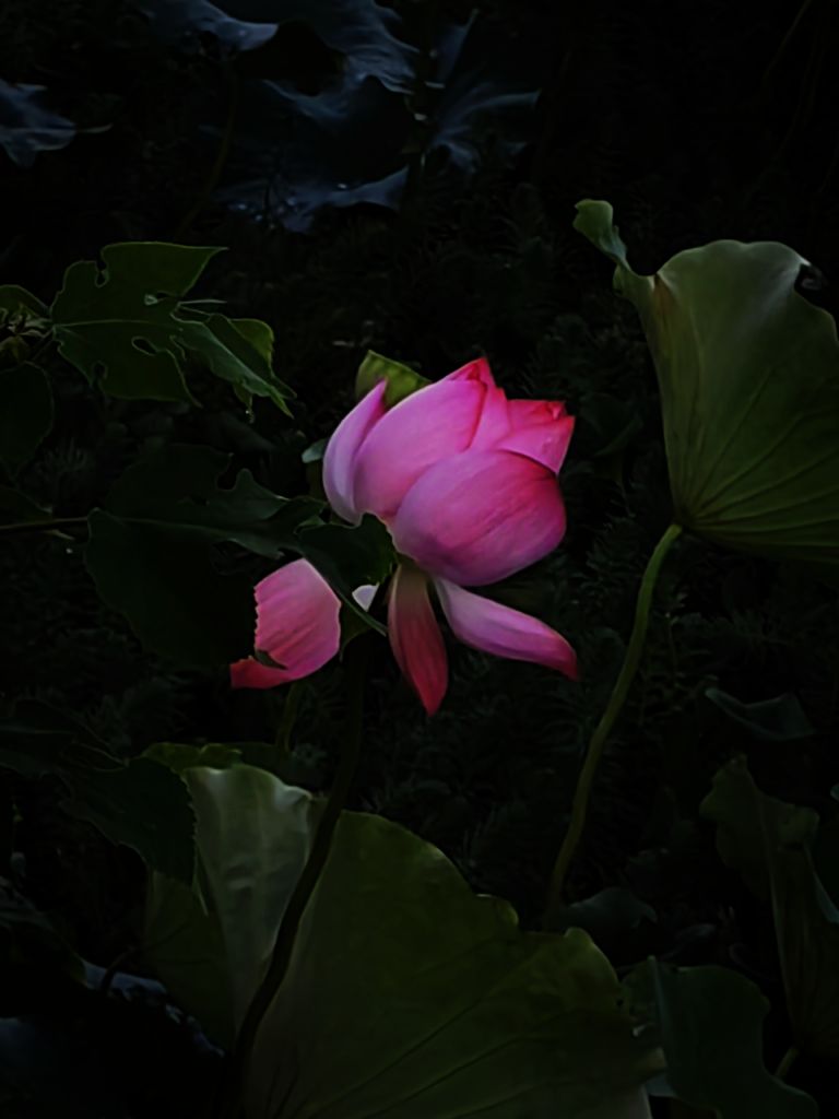20260709180058front2_0_198517_FkxtCtdb2Gcd8cSpnId4k-6X6YE3.jpg