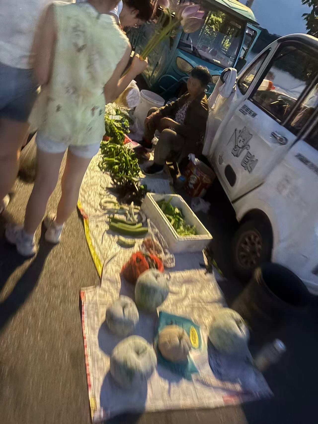 178369284632326149.jpeg