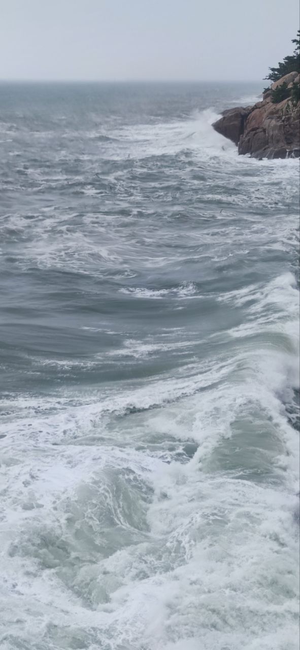 20260712214256front2_0_191522_FqNYuhK7Y-VDfDlNfMHXfIPj_R7n.jpg