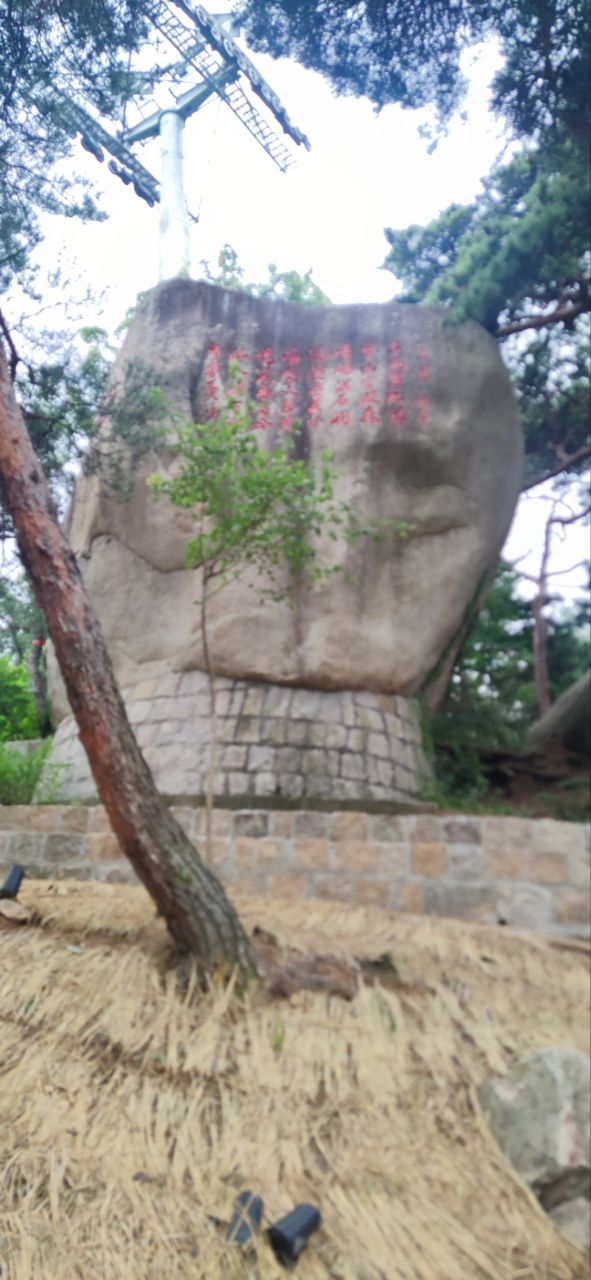 20260712222938front2_0_191522_Fn0TGFGeBE7qIl4Of-sn4ZOo2a86.jpg