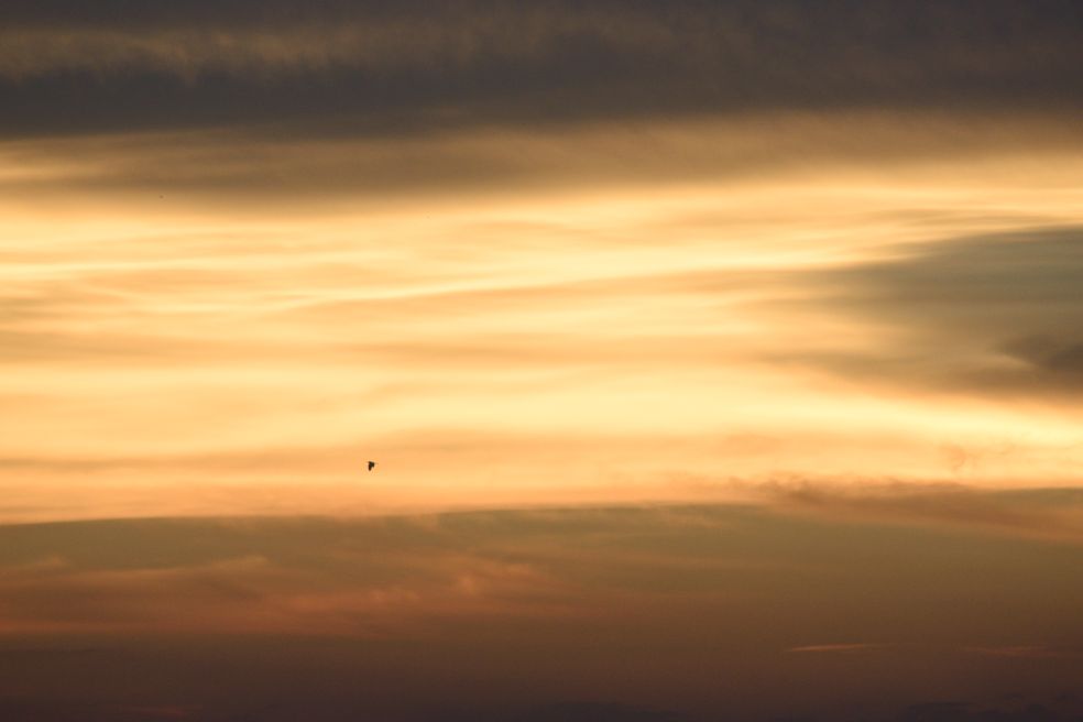 20260716224403front2_0_390386_FhyCIQ60p5lkaVIWHm0a1VNF3XX4.jpg