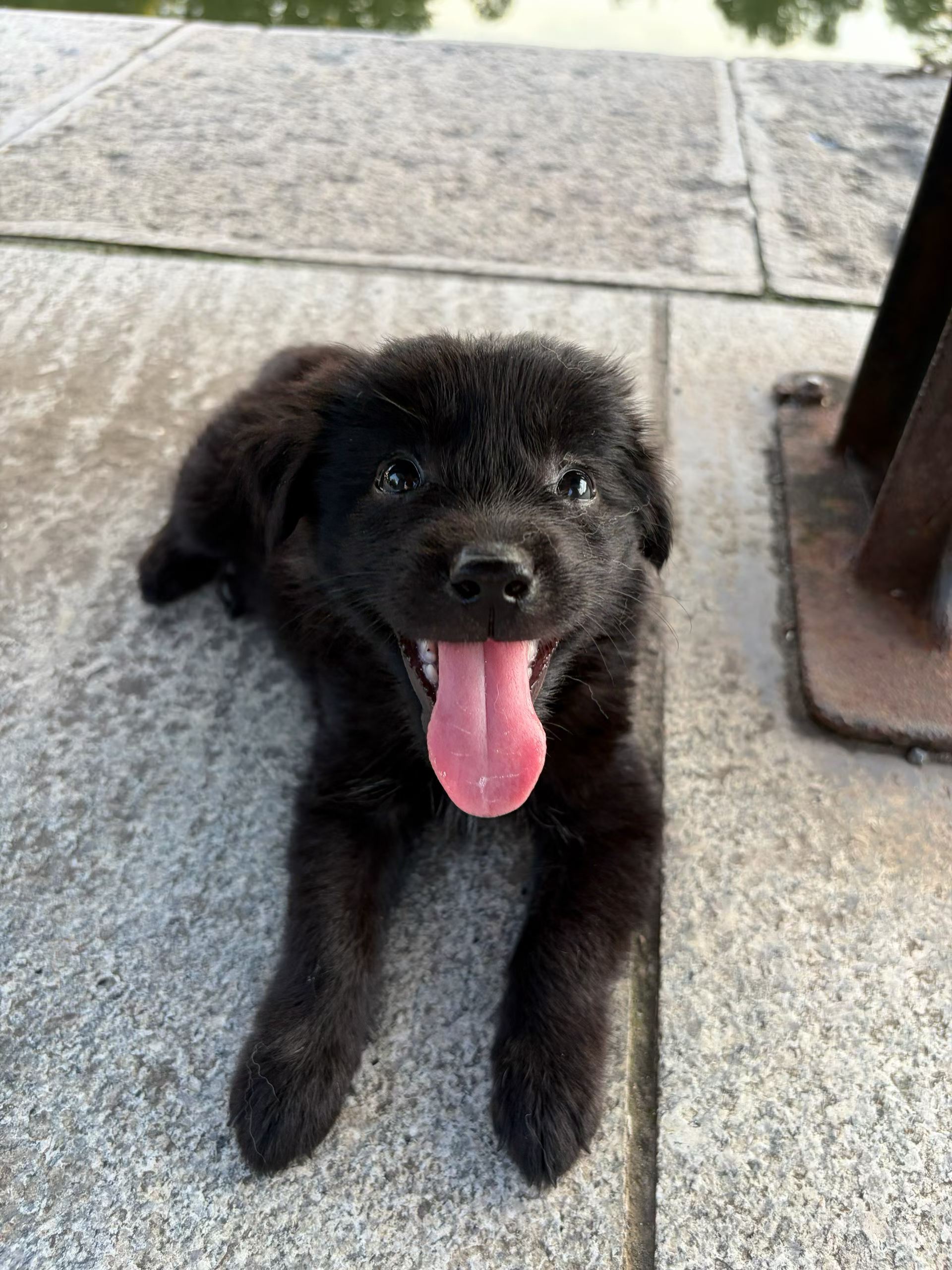 微信图片_2026-07-19_111431_160.jpg