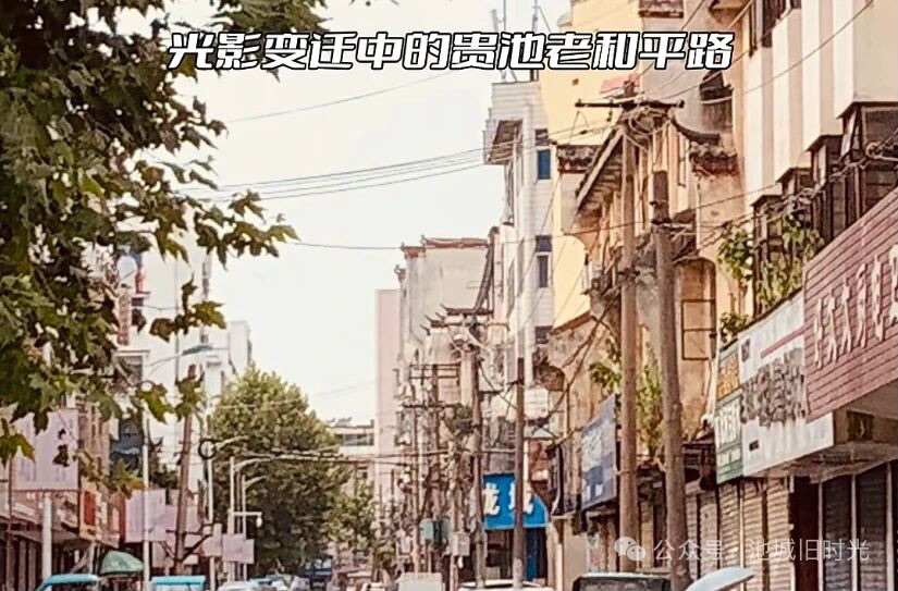 20260720194912front1_0_224483_FrKYv2yNEnT6pqNhvnufRsdwpmd6.jpg