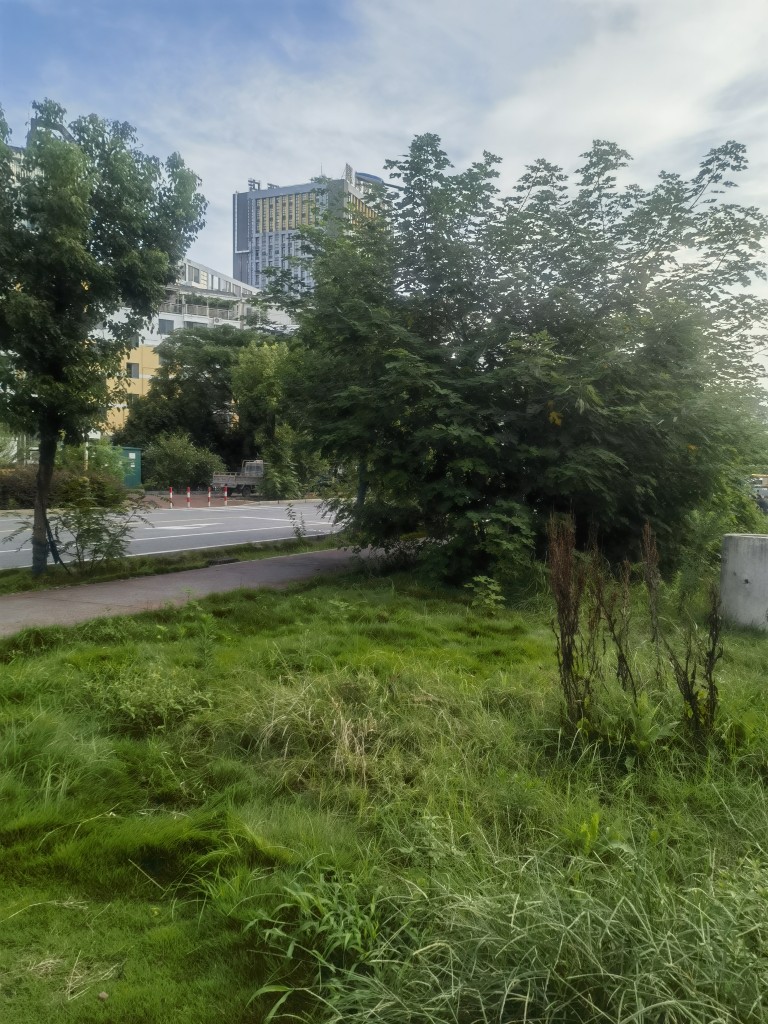 20260726105858front2_0_74334_FlGPBuyn_F4YDsp9nutmZvR209TJ.jpg