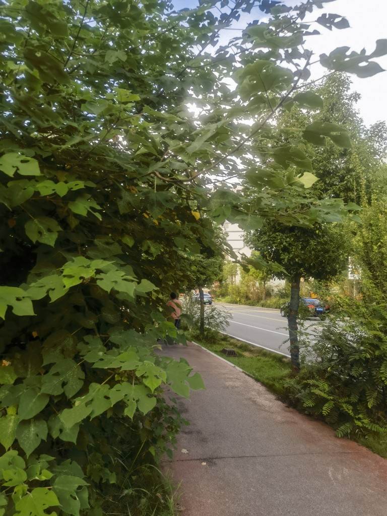 20260726105858front2_0_74334_Frnrm-a0gTyysUe4aMtJ13J8sHtq.jpg