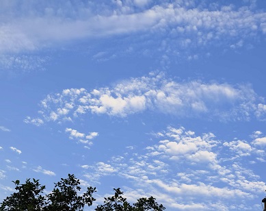 12ab3c8c71f148de8d28d437061e18a3.jpg