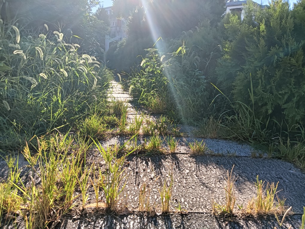 20260801174134front2_0_370386_FpJBkHEZy-QS7jk5YnBqq9aC8q3y.jpg