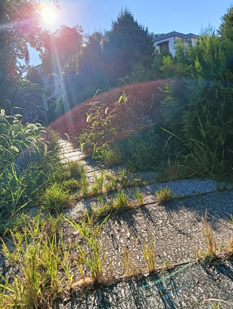 20260801174132front2_0_370386_FlY3UeRChXbRt0jLSrE7IKBVy2In.jpg
