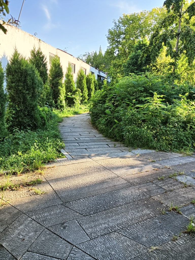 20260801174134front2_0_370386_FrHVBhtCy-1AkQ7ZAOnsevKmqTvG.jpg