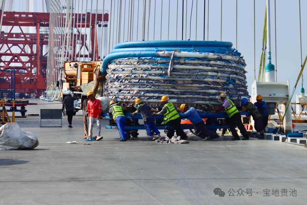微信图片_2026-08-07_101733_262.png