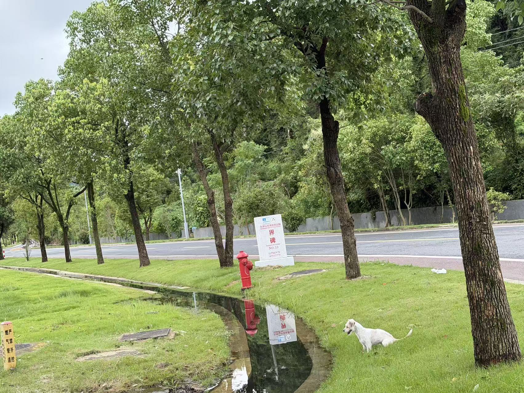 微信图片_20260811123746_108_32.jpg