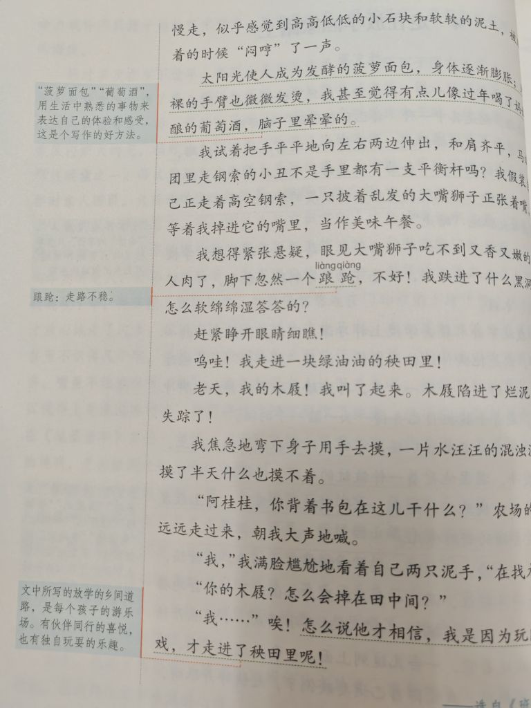 20260813083240front2_0_413932_Fnu5cLS2T_92mbRLCVIST8WYJ-2X.jpg