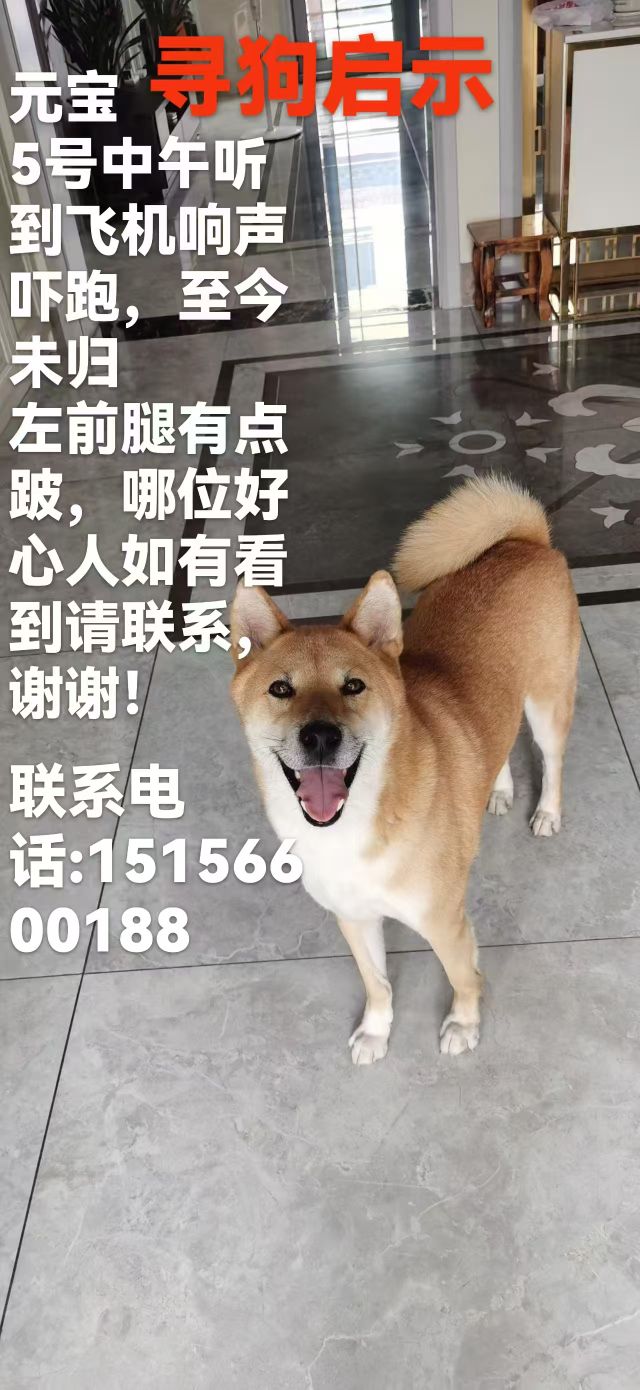 20260820145045front2_0_417937_FkIMyOt9iu1EIvwAyW1C6XBXe8Yx.jpg