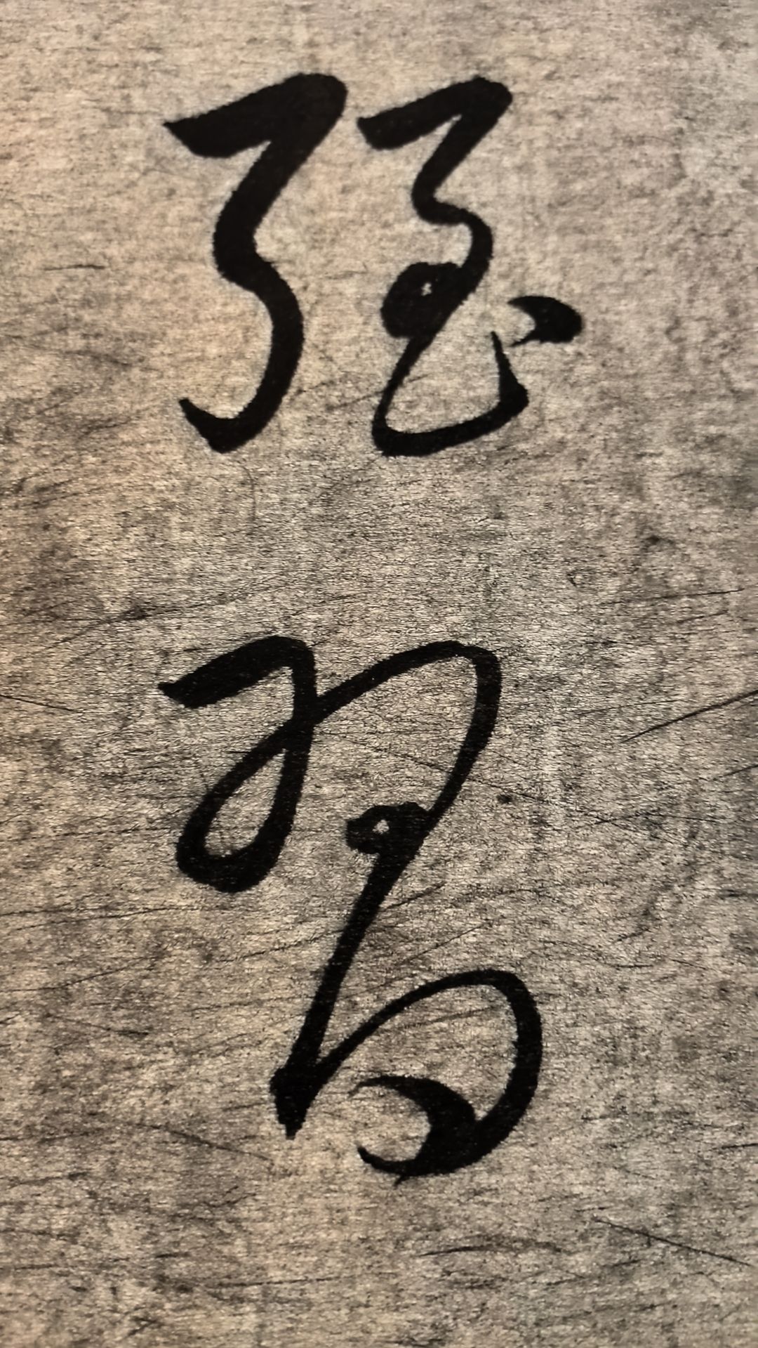 20260825173150front2_0_102944_FsZupTEZgraFwYJSaRJYmlDnZucl.jpg