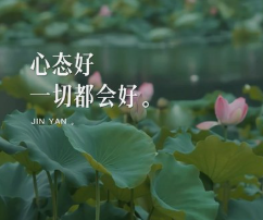 178661896971751453.png