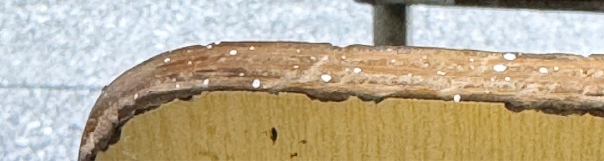 20260901134018front1_0_24860_Fk2HhhcNX3A0KByUbNXmsLgPtZbf.jpg