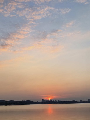 95.jpg