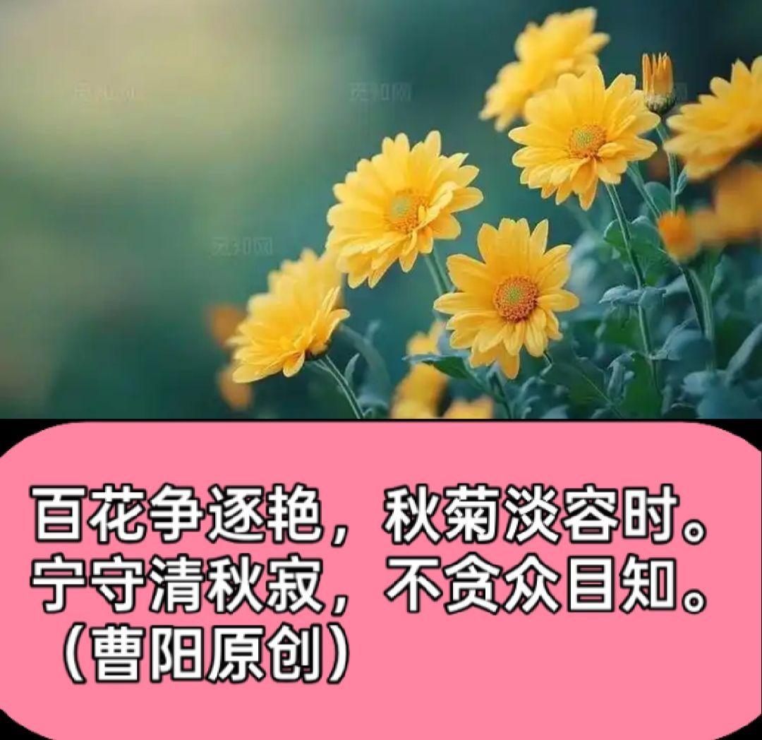 20260919081415front2_0_294866_Fm2xciSYLIdW066re5vRRju3PJiy.jpg