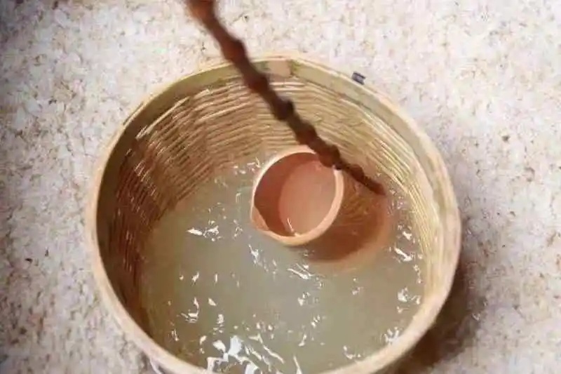 04.jpg