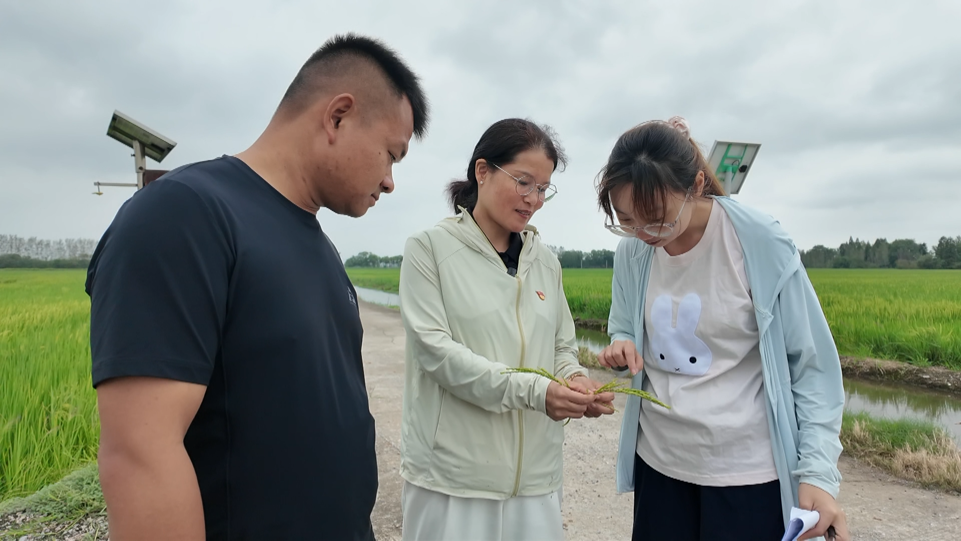 微信图片_2026-09-23_100740_763.png