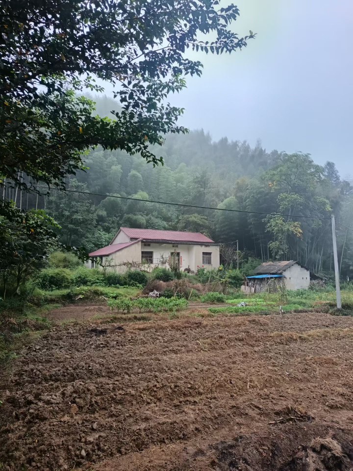 20260929062135front2_0_347157_FpEWaSyvJxPIl_oWER3qTXGo_EFi.jpg