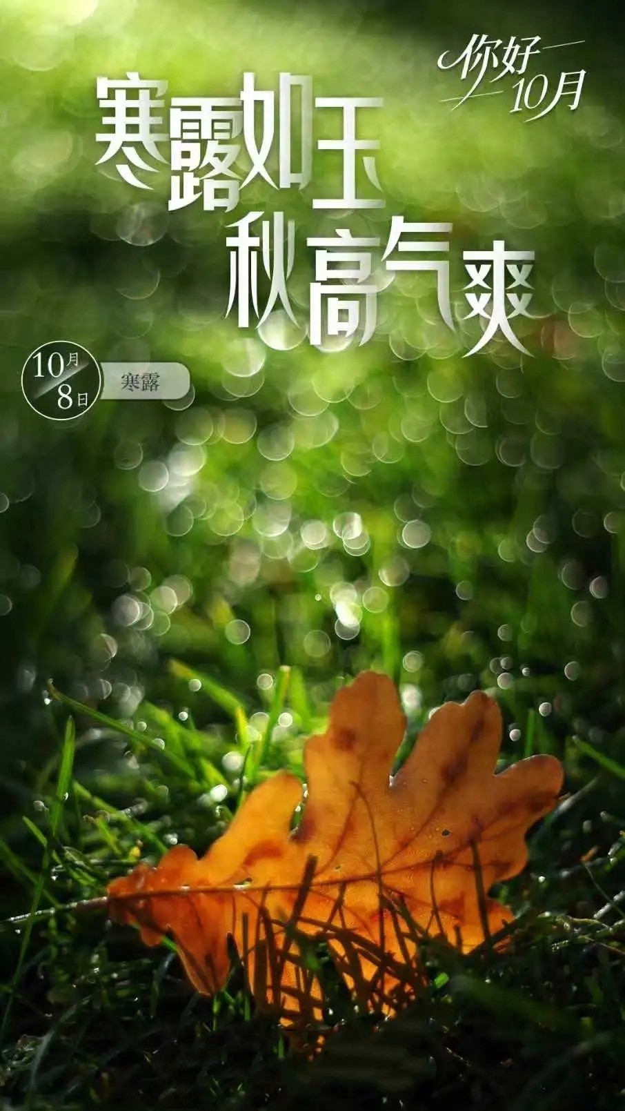 20261001181556front2_0_418470_FpzWMpeUyMyf8AN3vxoX5_gVQM5F.jpg