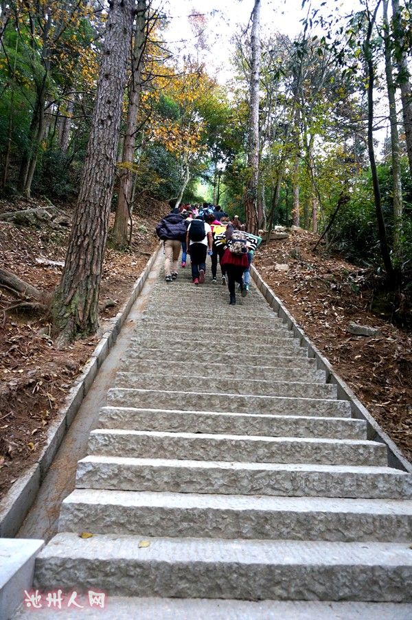 九峰山景区步道图片
