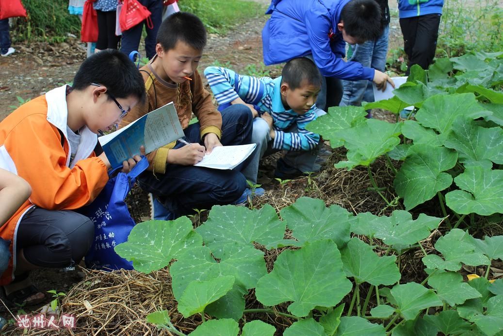 安琪儿教育作文活动课照片集锦