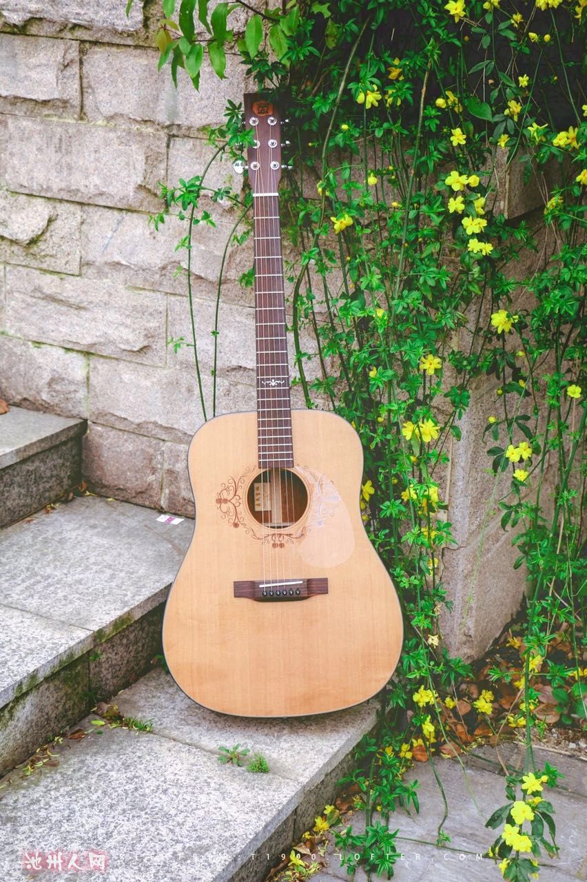 全新森吉他卖啦!