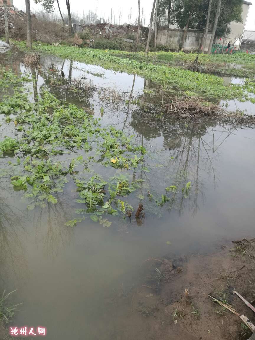水满金山,一片泽国