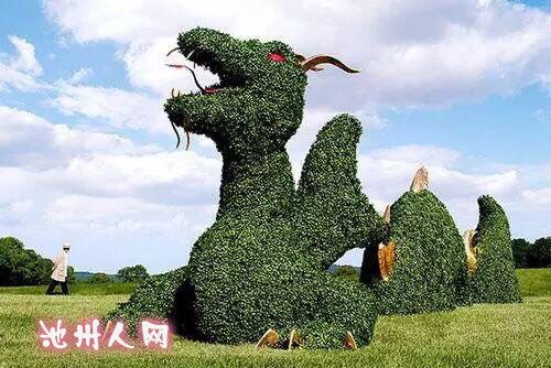 用植物编植长成的动物造型!