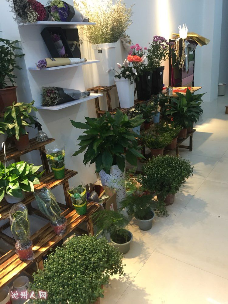 盈利中花店转让店内花架收银台也可以转卖