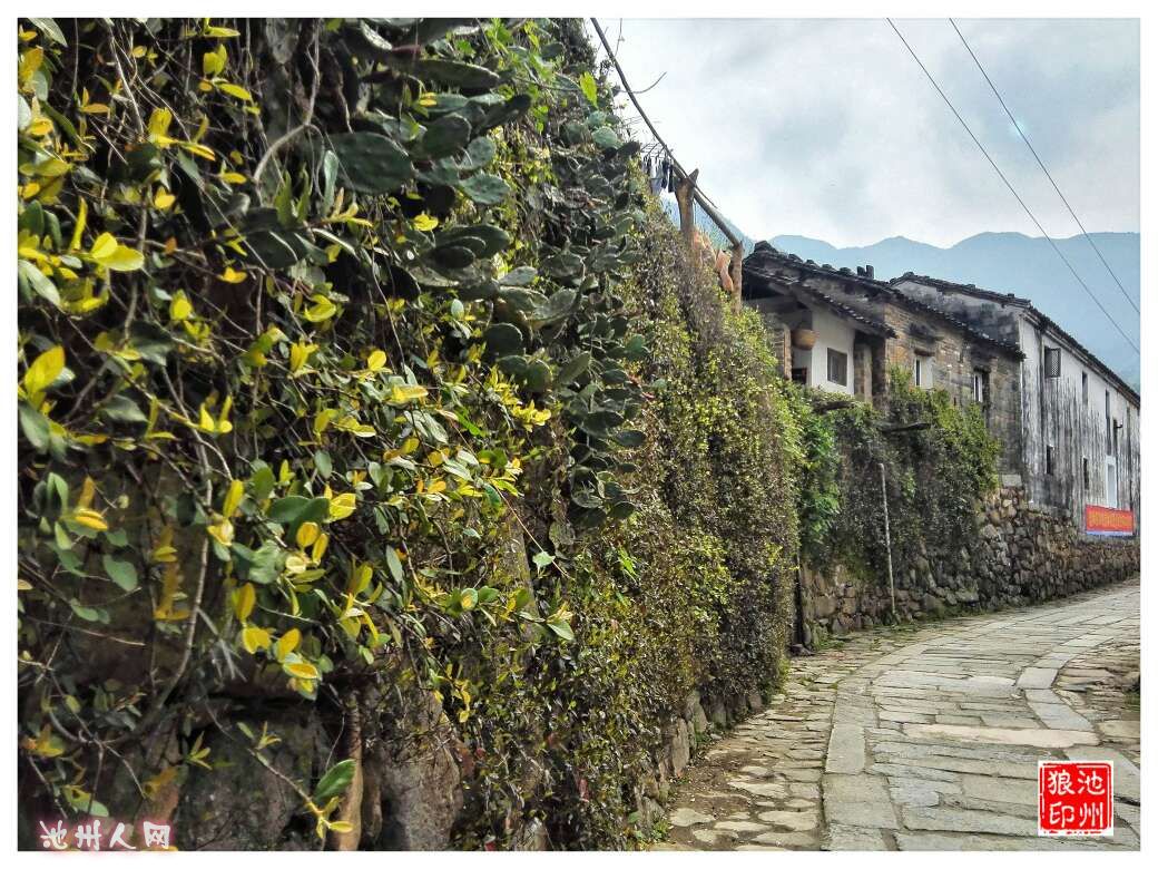 棠溪古村落图片