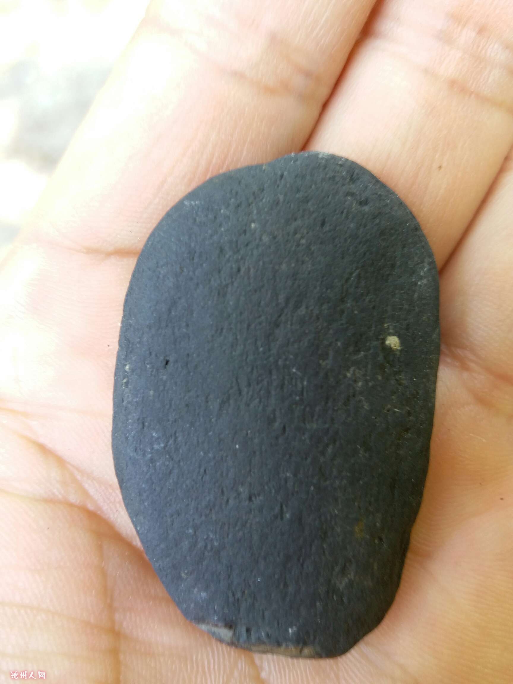 懂宝的人,我是不是捡到宝了