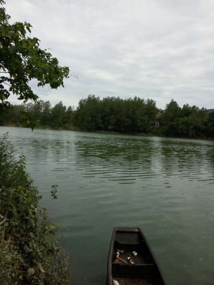 秋浦河的水已经平河了 - 七嘴八舌 - 池州人论坛 - powered by discuz