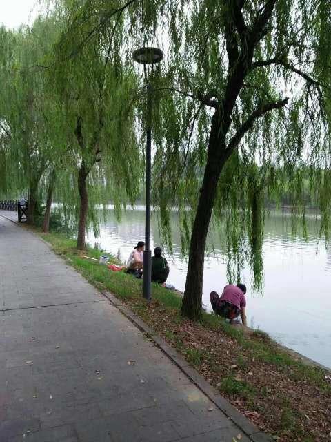 缺失的管理和素质