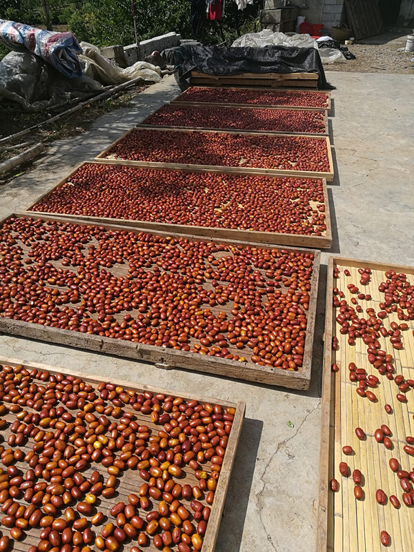 西山村焦枣 真的好吃哈 - 七嘴八舌 - 池州人论