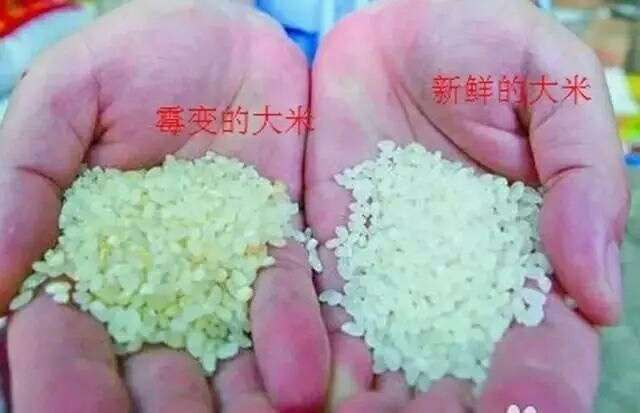 市场上发霉的大米能吃吗怎样识别有妙招