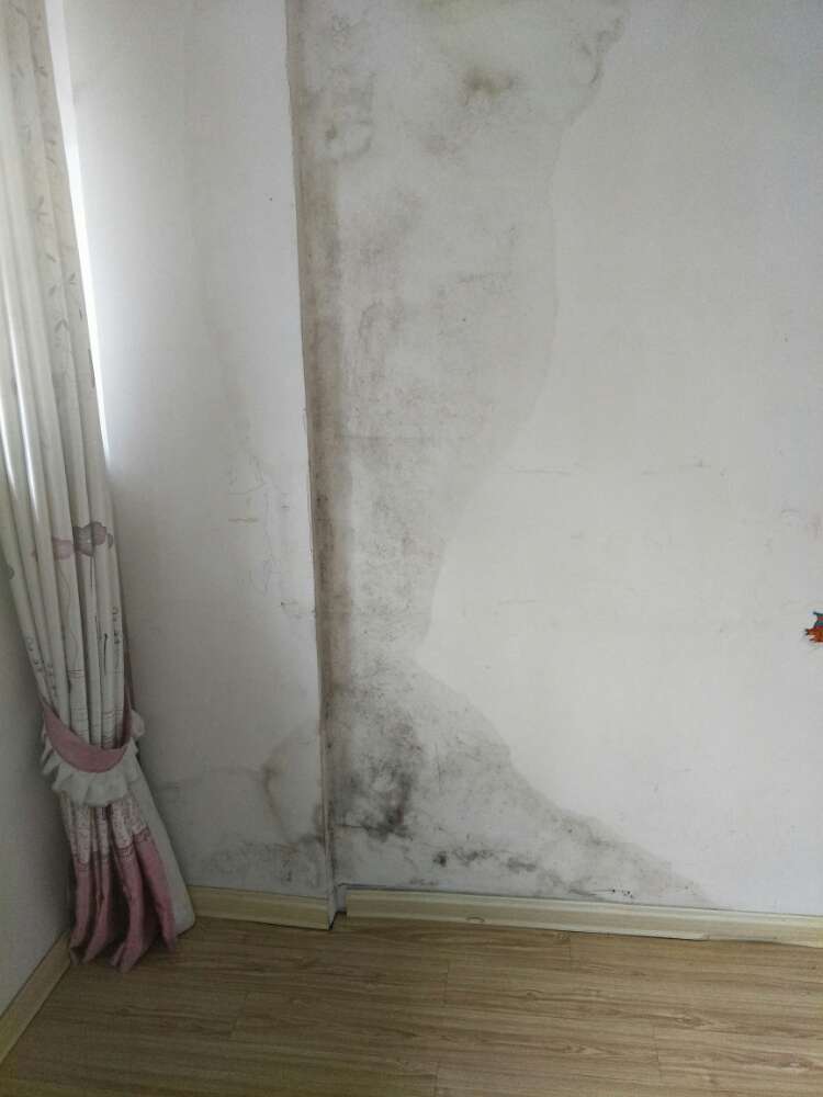 温州商贸城房子外墙漏水何时能彻底解决?