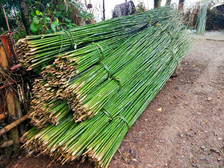 细细竹条一捆捆